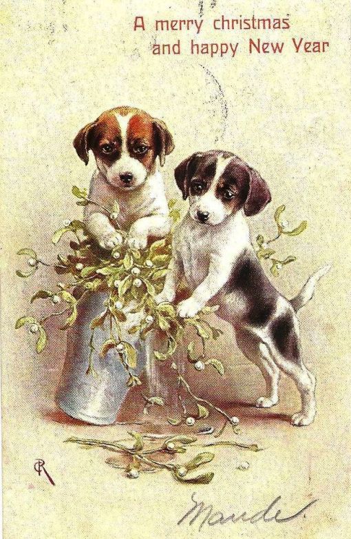 cbeb421f10f04e971eb08a18f387115c