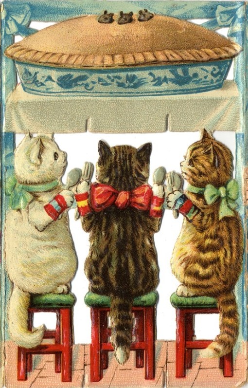 gatinhos-cc7795033f65d5de35dca3a9cdb753d1