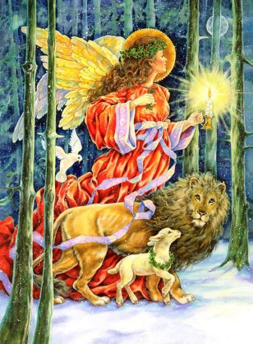 2d53389752afef74f40852569b7a9bf4