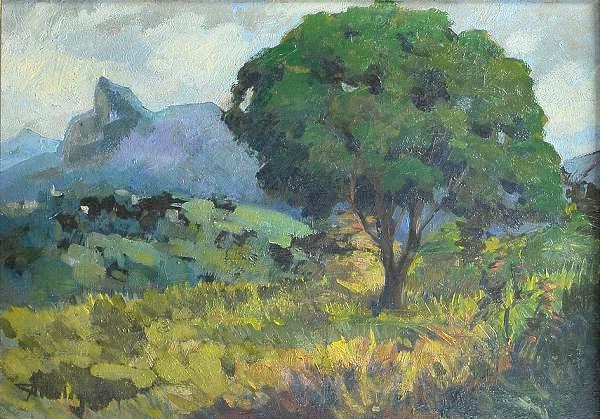 malagoli-ado-1906-1994-vista-para-o-corcovado-o-s-m-25-x-36-cm-assinado