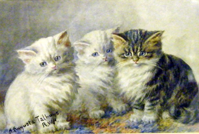 3-kittens-Agnes-Augusta-Talboys-private-collection-768x576