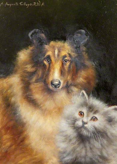 A-Study-of-a-Collie-and-a-Cat-Agnes-Augusta-Talboys