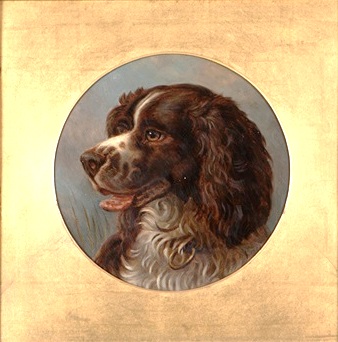 alfred-richardson-barber-portrait-of-an-english-springer-spaniel