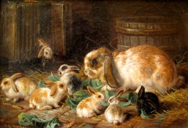 Barber, coelhos comendo