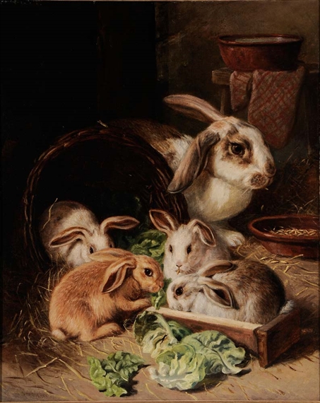 barberm alfred r. coelhos comendo alface