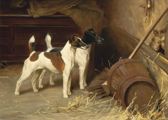 2011_CSK_02590_0005_000(arthur_wardle_ri_rbc_wait_and_see)