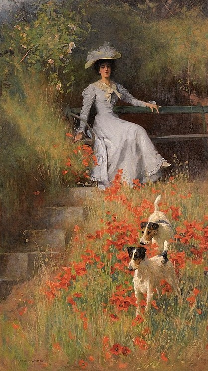 com espaço para correr