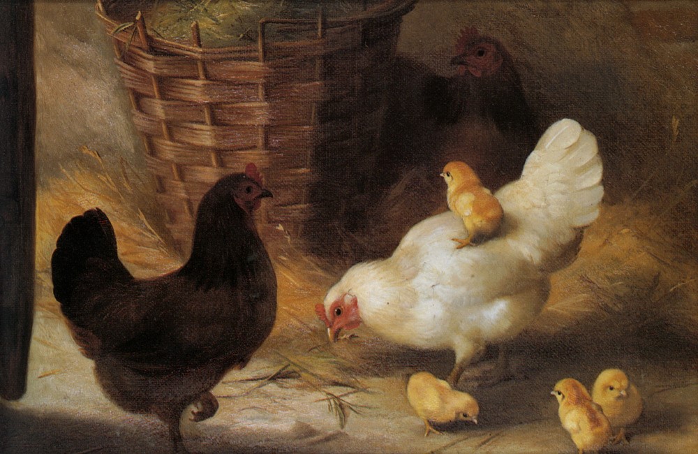 Edgar Hunt, uma vista melhor