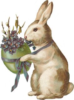 11f08dca02e46859ed516c1b784633d8