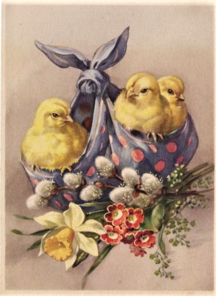 3a4d85553a3f96eb78bf69a74edd753c