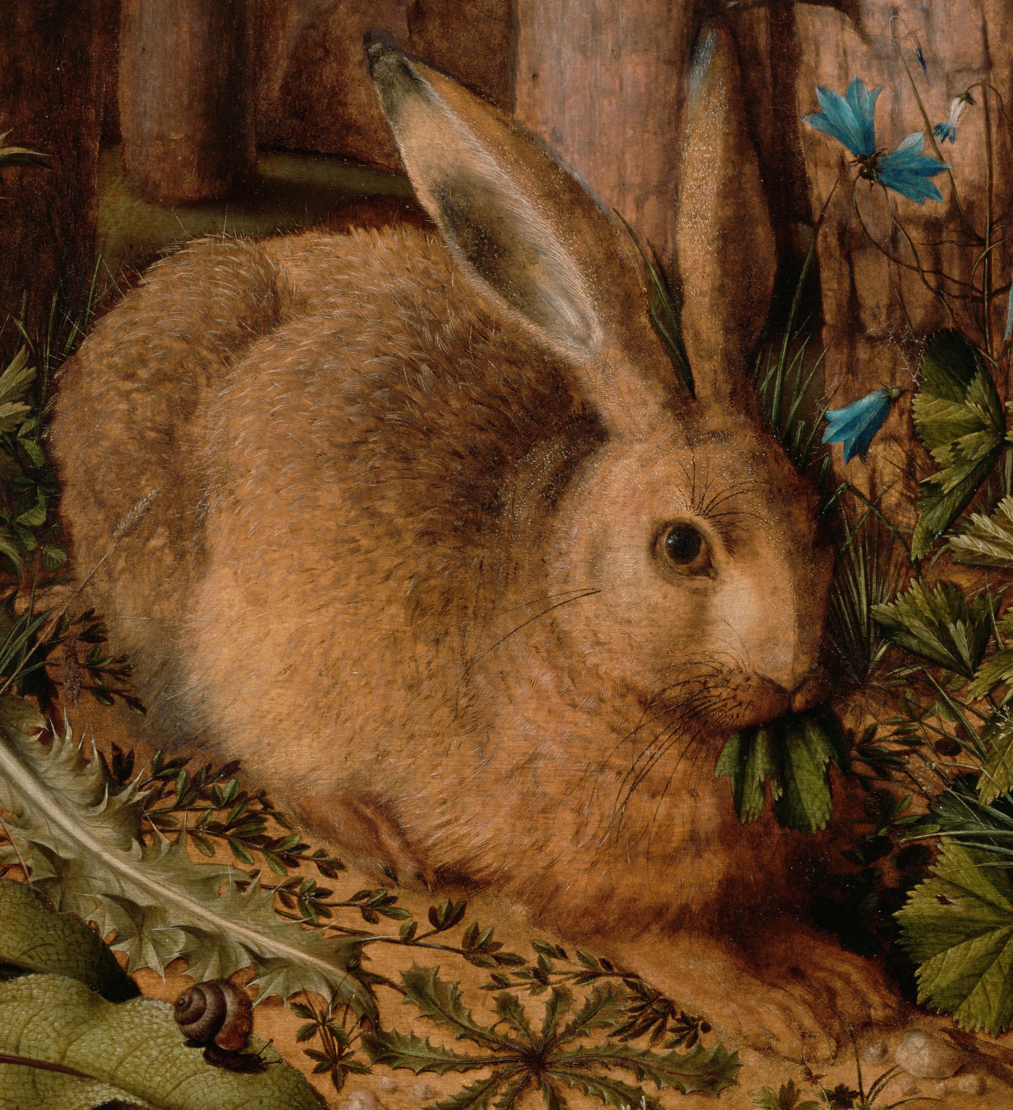 Hans_Hoffmann_(German_-_A_Hare_in_the_Forest_-_Google_Art_Project (2)