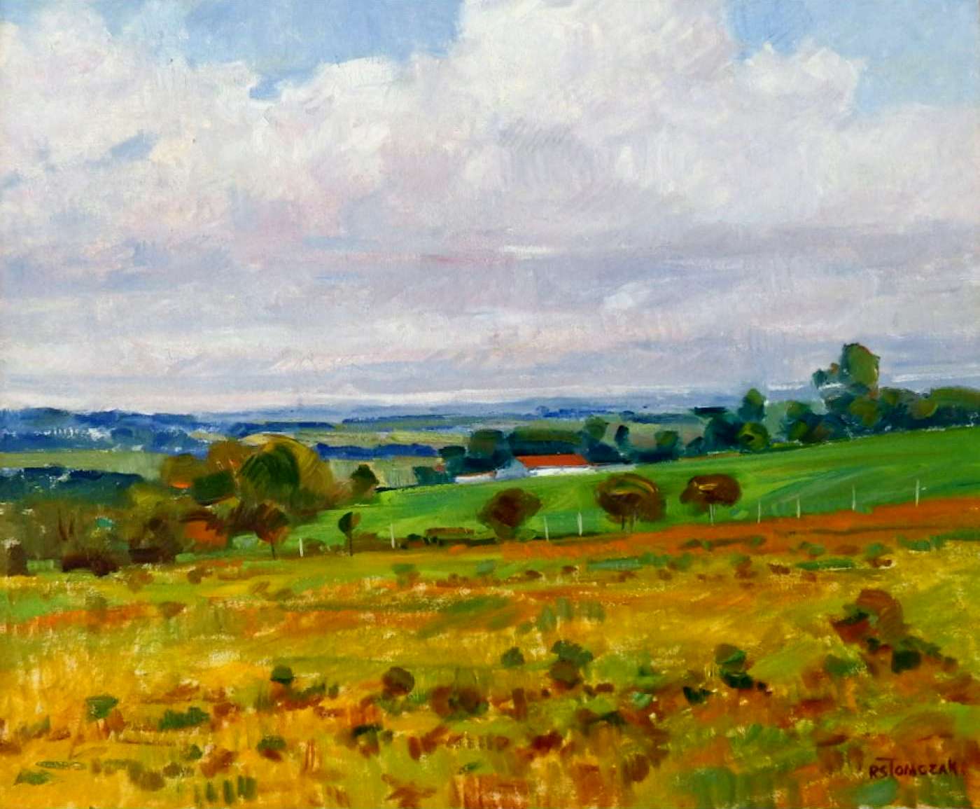 Rene Silvio Tomczak, Óleo sobre tela, 50x60cm