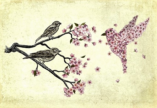 terryfan-509c321d1243efa_large