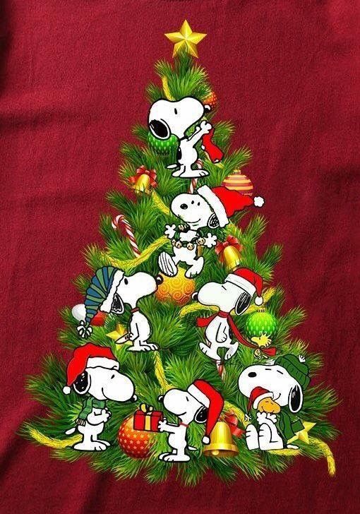 8bd1b62145df91dd35e89880abcdec74