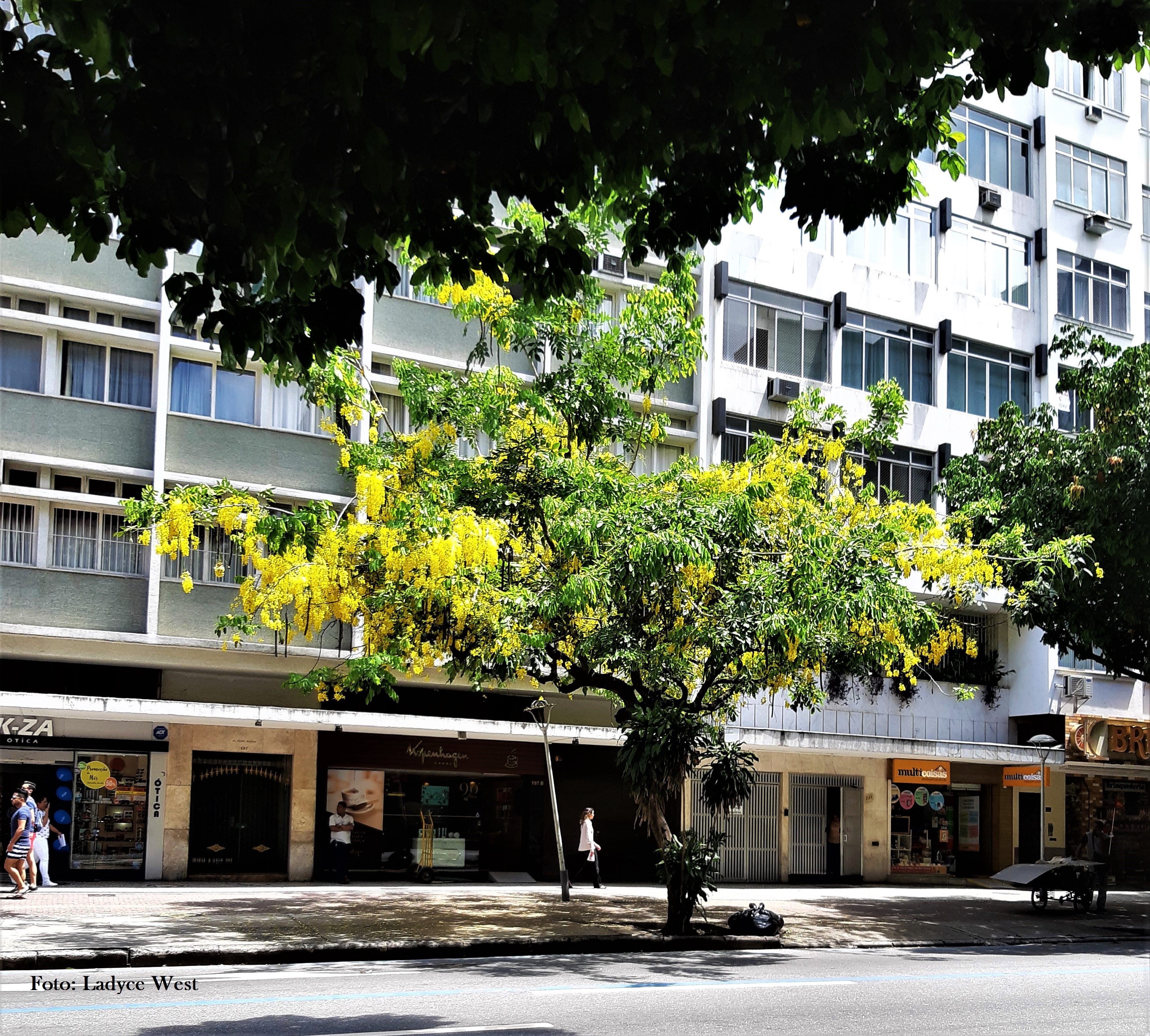 20190207_142417 assinada