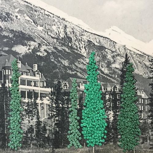 47165035_277114946270011_8633363327223390820_n