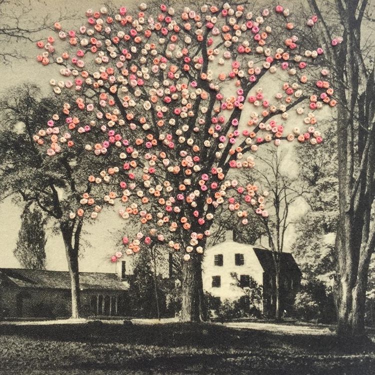 49527174_184803729143457_6733024200648895418_n