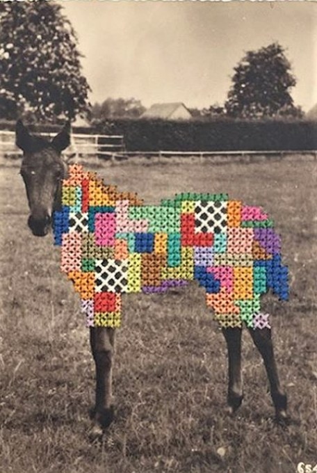 francescacramer-1 (2)