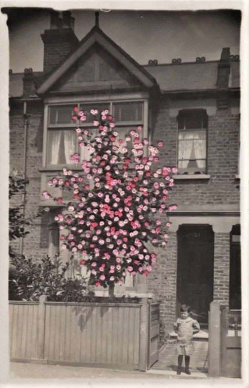 francescacramer-1 (3)