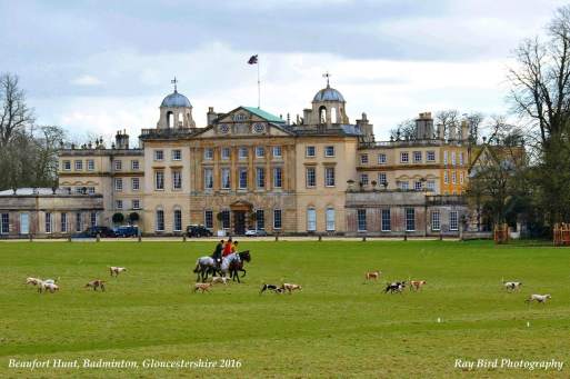 5b3b80dea040d01037b8b6fc_IMG_7376