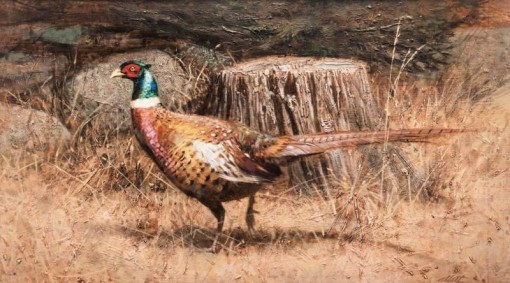 Robert K. Abbett (EUA), Fast Freddy, The Pheasant , oil on masonite, 44 x 79 cm