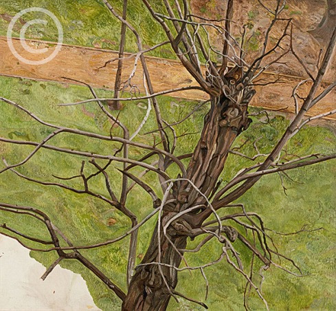 lucian-freud--acacia--1975-oil-on-canvas-45cmx51cm
