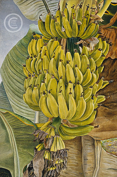 lucian-freud--bananas--1953-oil-on-canvas-23cmx15cm