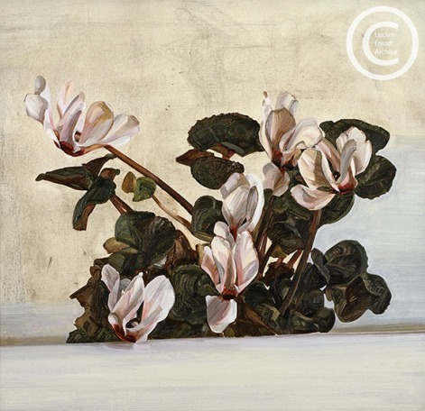 lucian-freud--cyclamen--1964-oil-on-canvas-457cmx49
