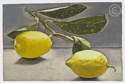 lucian-freud--lemon-sprig--1947-oil-on-board-115cmx18cm