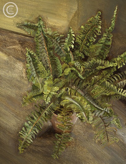 lucian-freud--small-fern--1967-oil-on-canvas-393cmx29