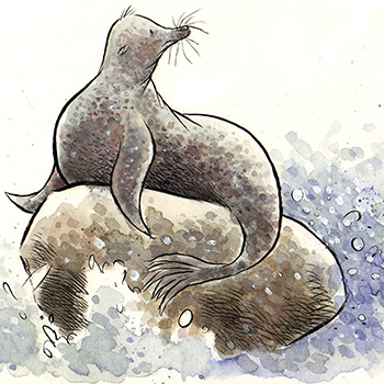 StacyCurtis19_7aslf4