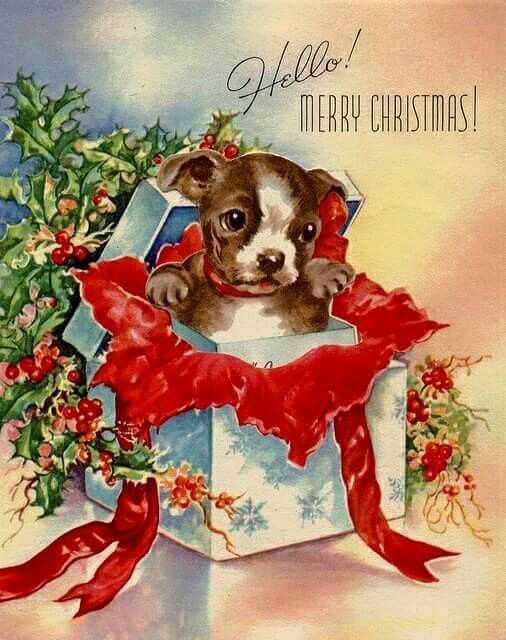 155c9a8653c9e5a931e72c289d5ae195