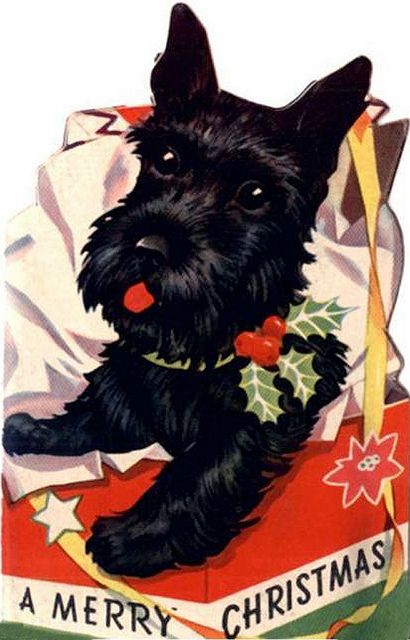 1fe456a6f34a50a93ec1a80b59d73578