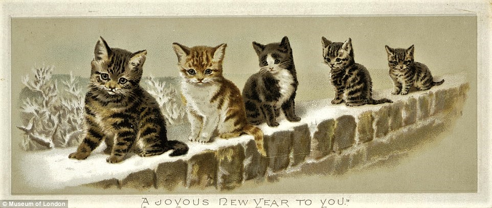 23F7AEA000000578-2869918-image-a-194_1418299864060