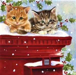 2c7429b642c5af78aea026de6f4e93b6