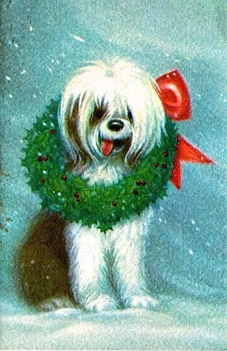 617a86f79510bfc1faf07cdb2a61dc58