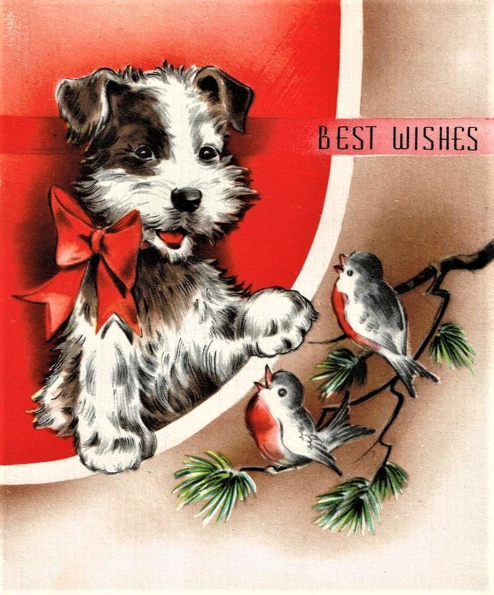 74c2f6e5bbfd023f2b45d45f0e3ba436