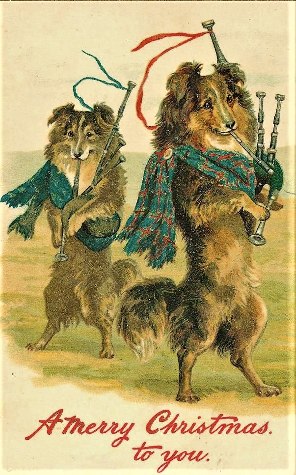 833a0c7bb38742bbefe14cfb3c376562