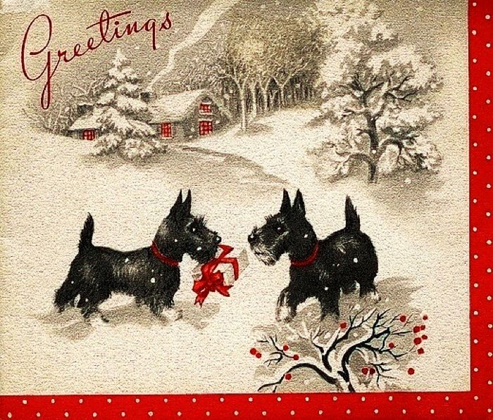 90d399b938eb1486be993e0713bf16a3