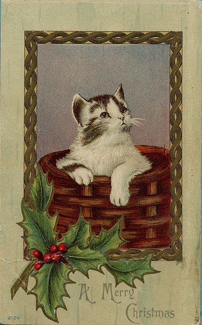 92be54b247a43cc2ee569ab4aef0955b