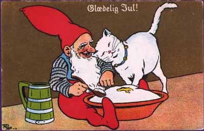 gatinho 123989795961341950_sLsuaPnj_c