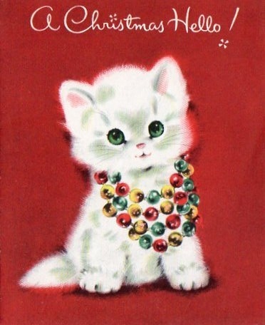 gatinho de coleira festiva