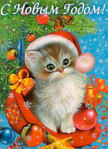 GATINHOS RTEmagicC_animals_13