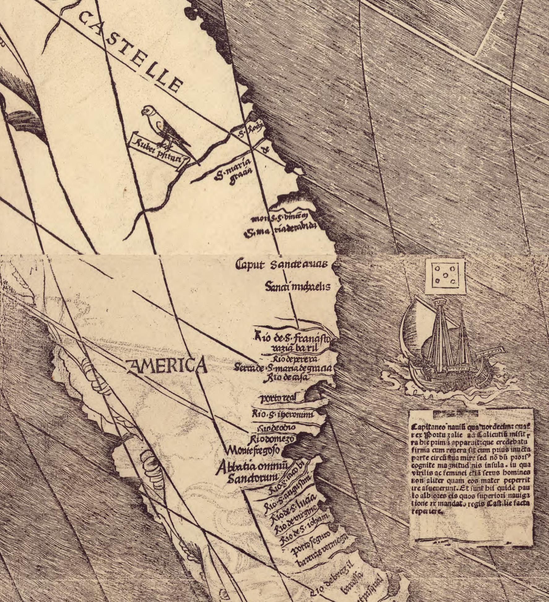 Waldseemuller_map_closeup_with_America