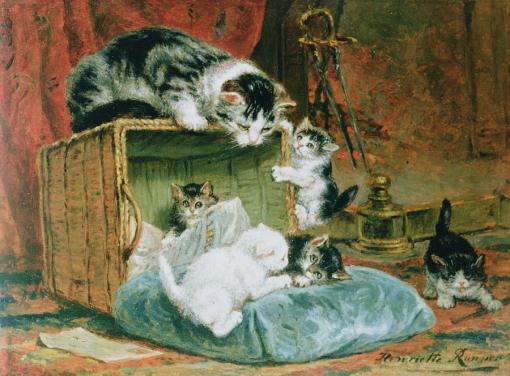 playtime-henriette-ronner-knip